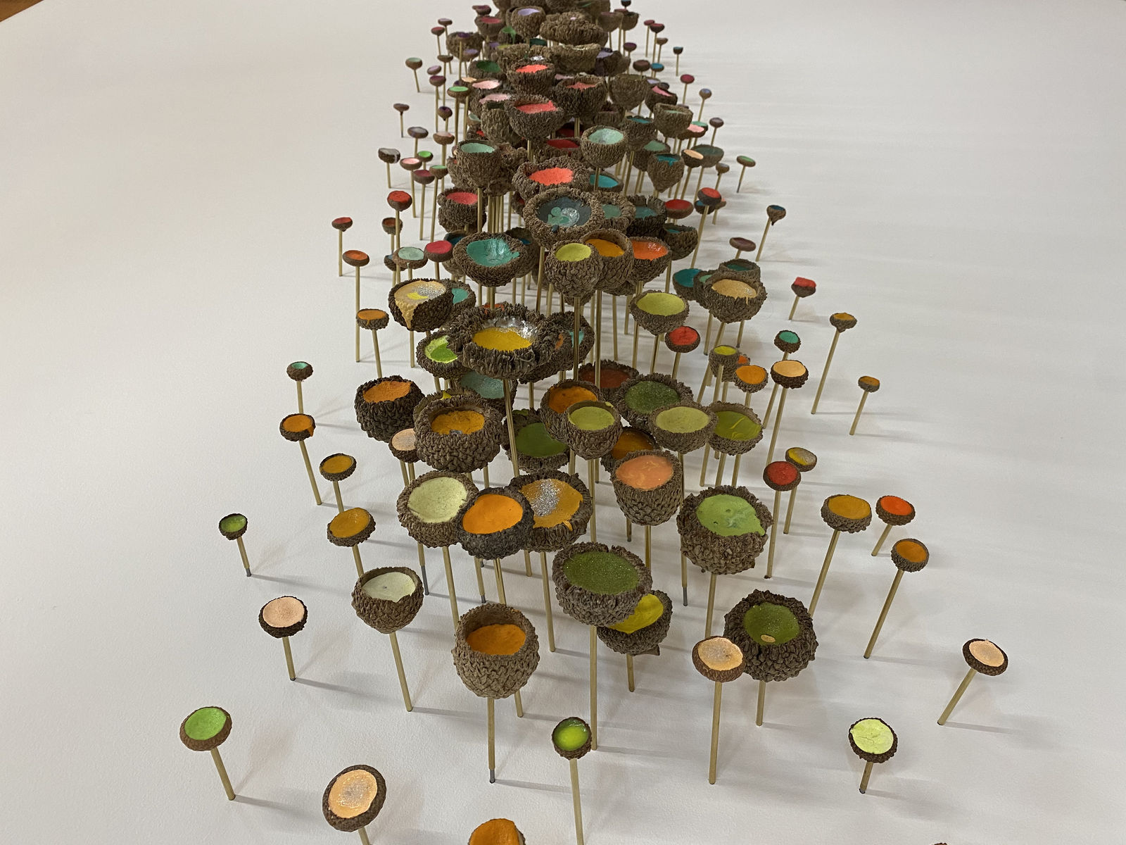 Julie Maren, Spring Flowers, 2020