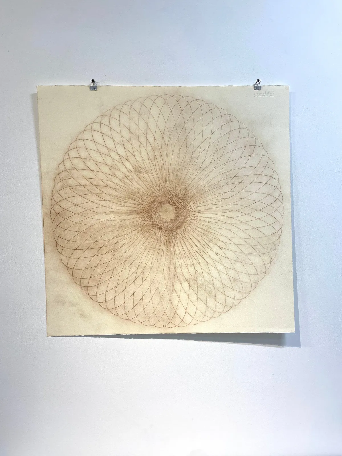 Mary Judge, Exotic Hex Series, 12/8, 2006