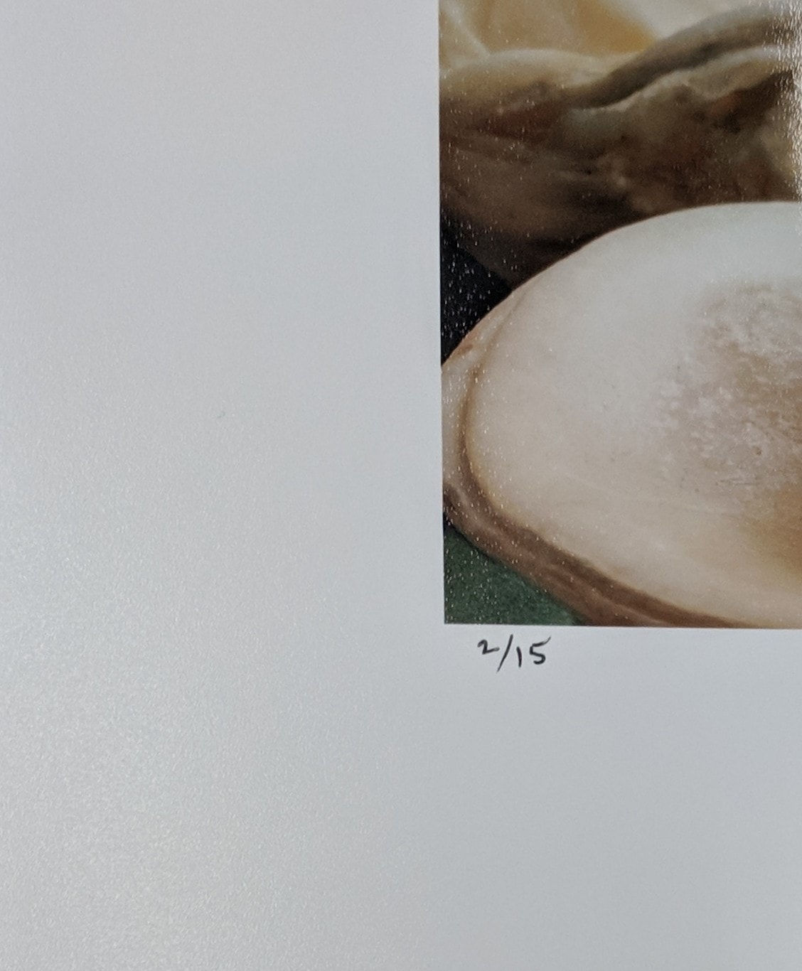 Lisa A. Frank, To Cast Aside the Weight of Facts, 2018