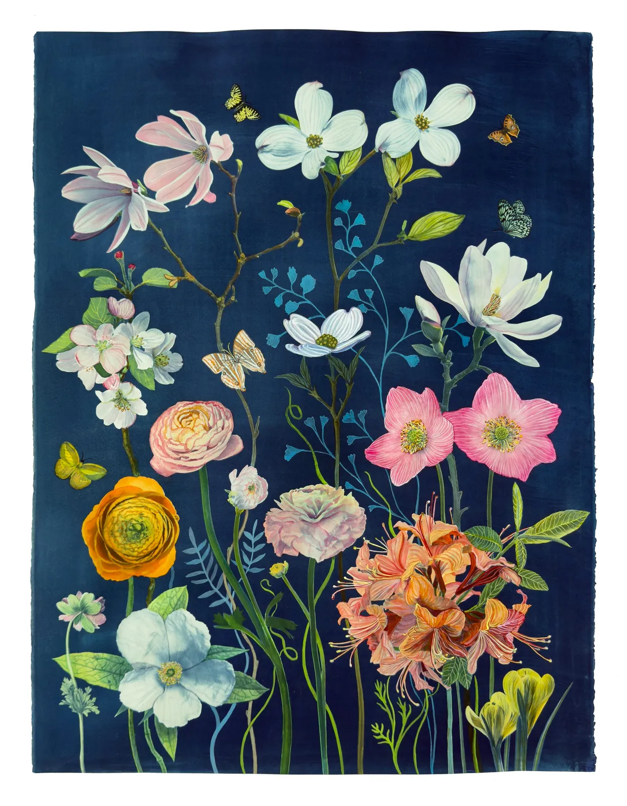 Julia Whitney Barnes, Picturesque Botany (Azalea, Ranunculus, Dogwood, Magnolia, etc.), 2025