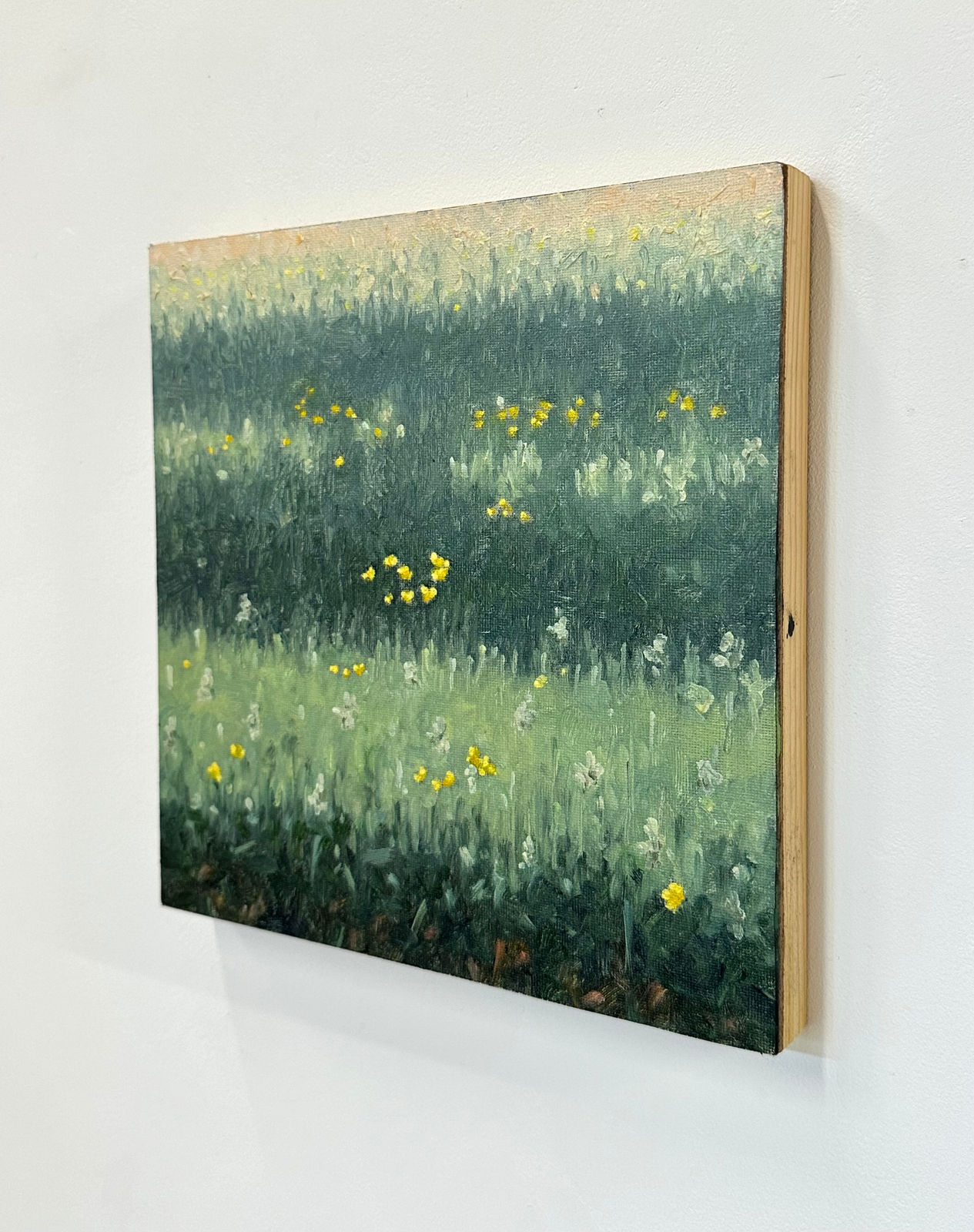 Thomas Sarrantonio, Field Painting May 30, 2023