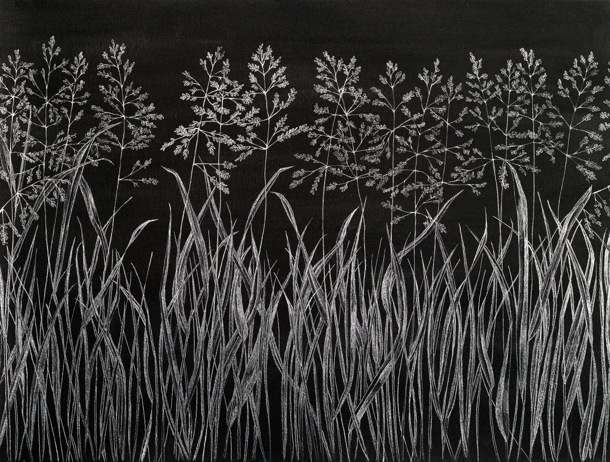 Margot Glass, Grasses 6, 2019