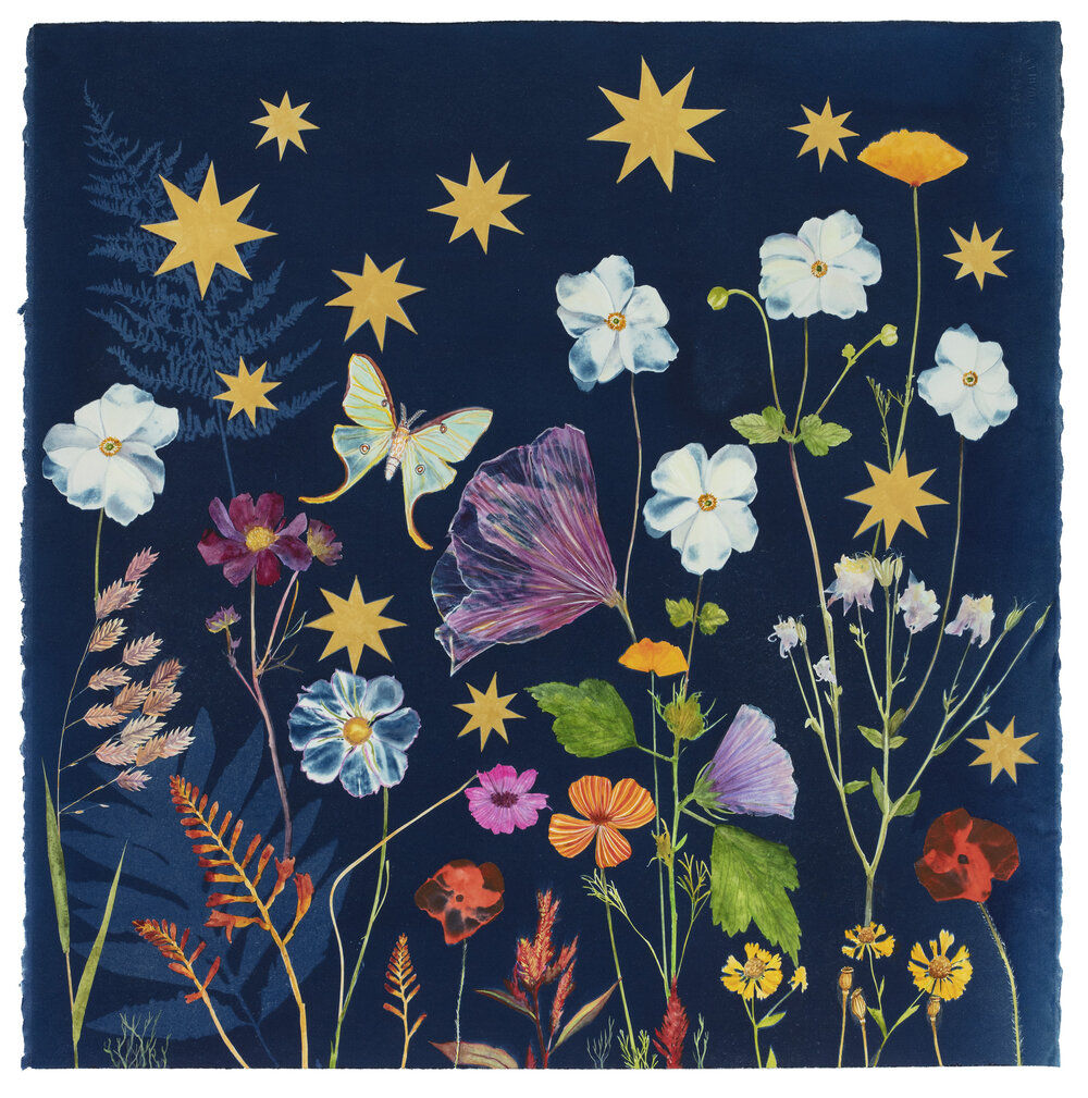 Julia Whitney Barnes, Cyanotype Print (Anemone, Stars, Luna Moth), 2022
