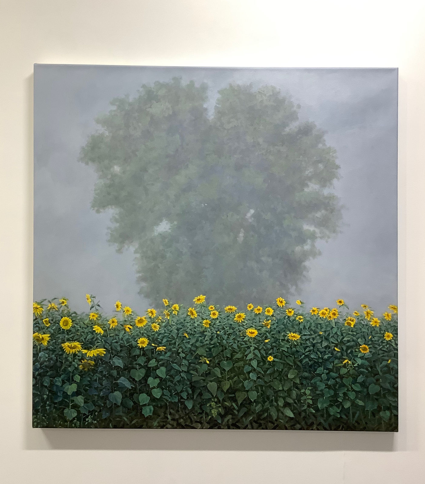 Thomas Sarrantonio, Visibility, 2019