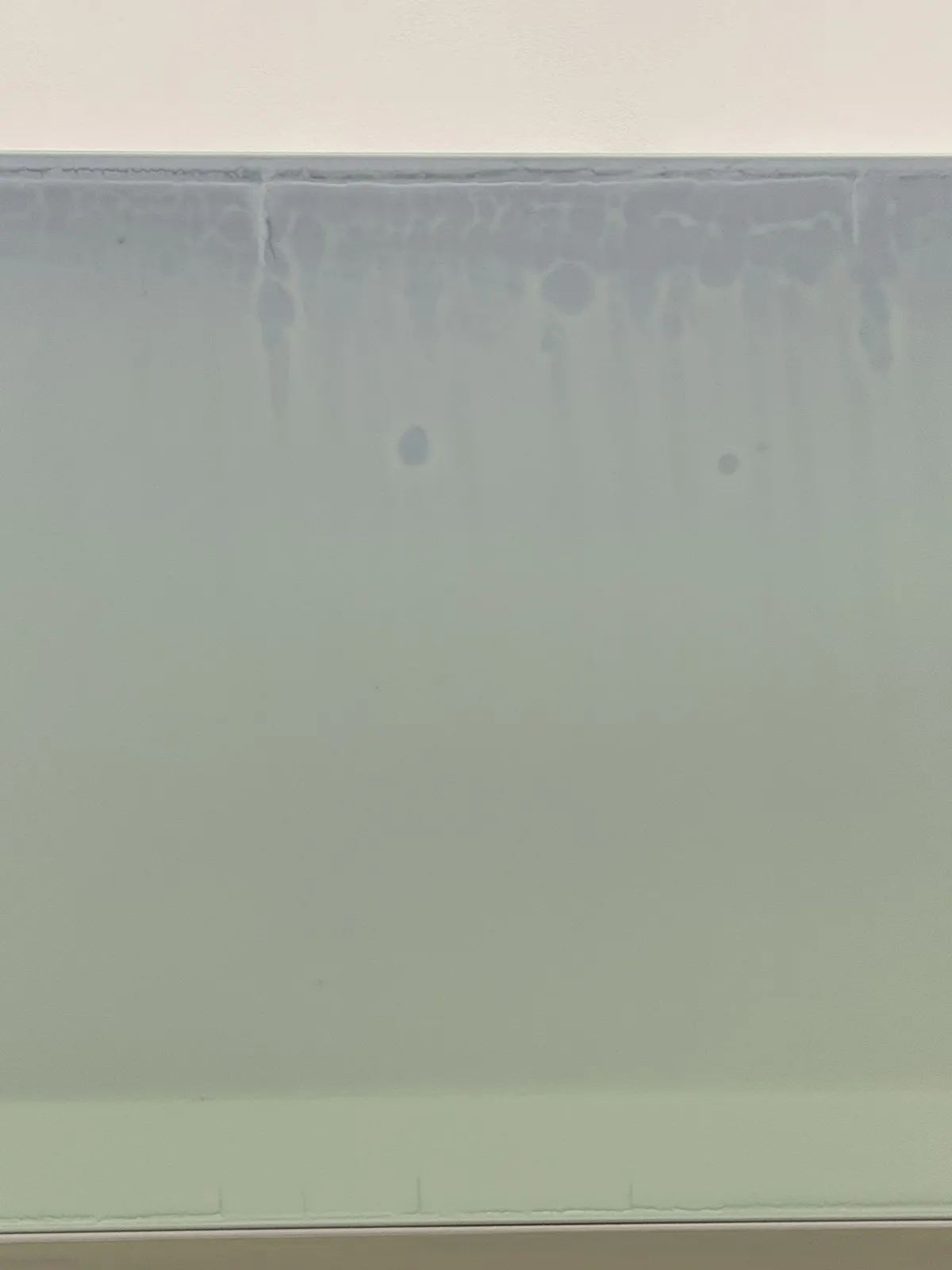 Susan English, Of Earth, 2025