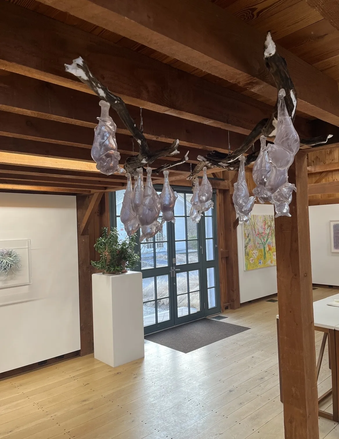 Tristan Fitch, Colony 3 (four bats)