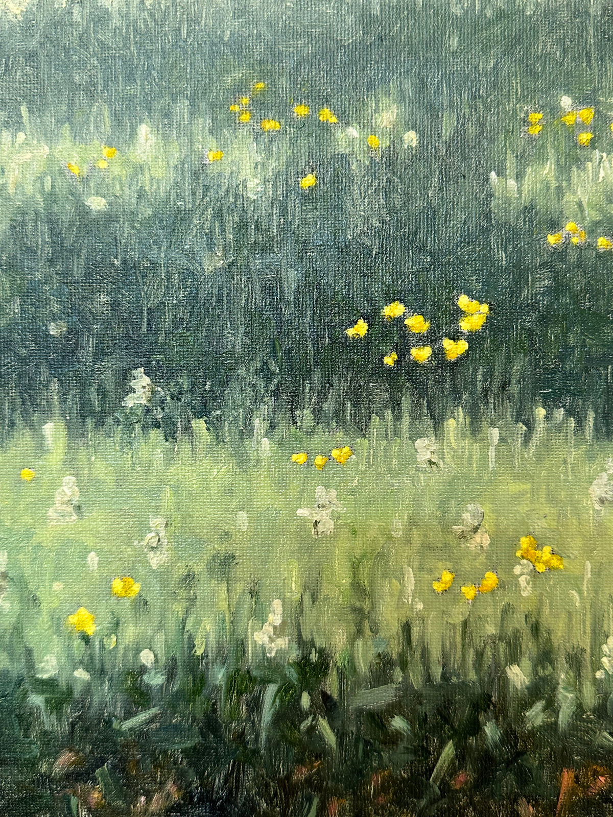 Thomas Sarrantonio, Field Painting May 30, 2023