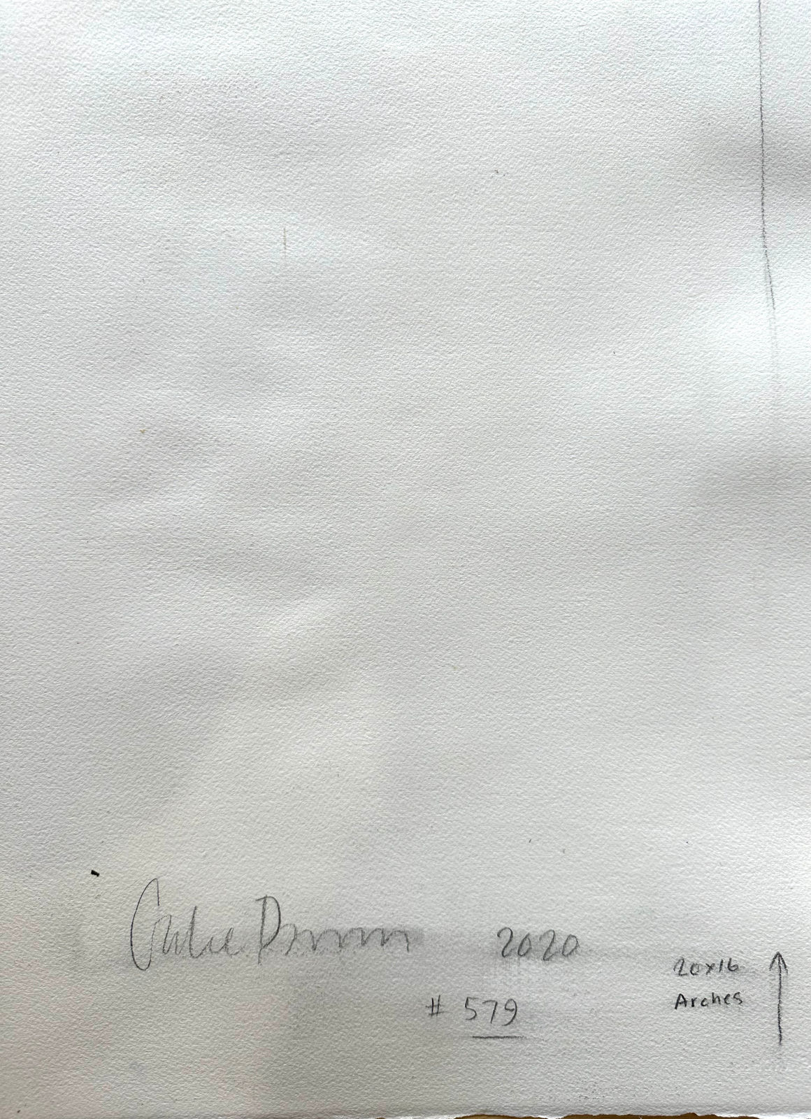 Gabe Brown, Untitled #579, 2020