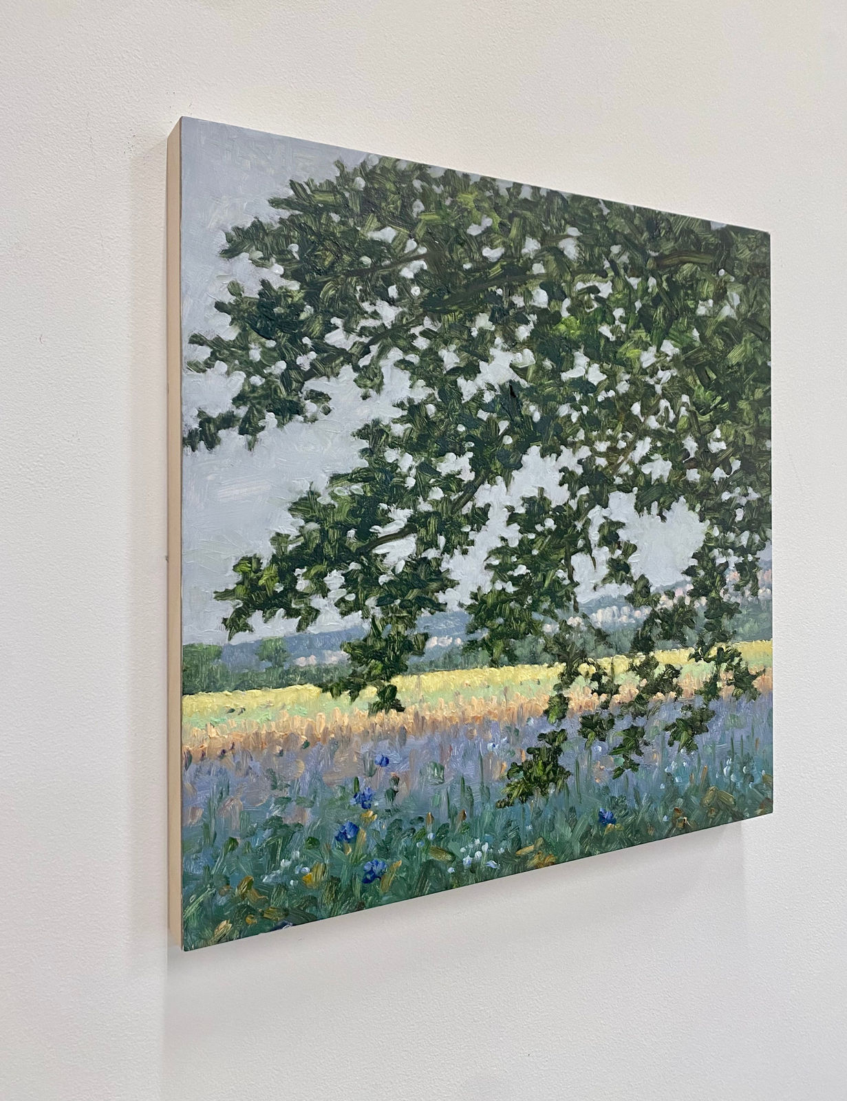 Thomas Sarrantonio, Field Painting July 12, 2022