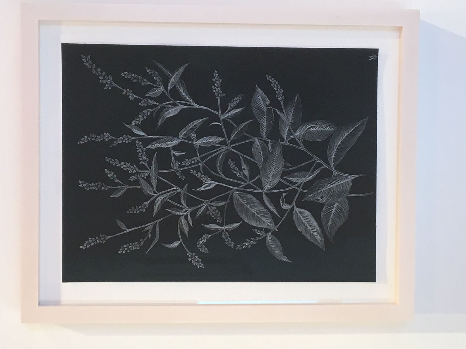 Margot Glass, Lady's Thumb 2, 2019