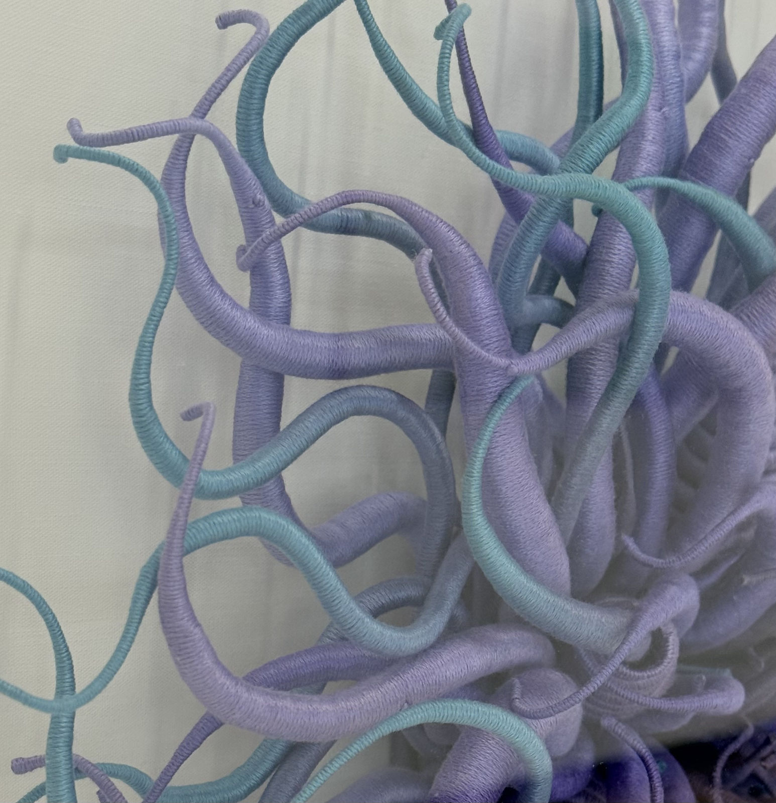 Catherine Latson, Specimen 44, 2025