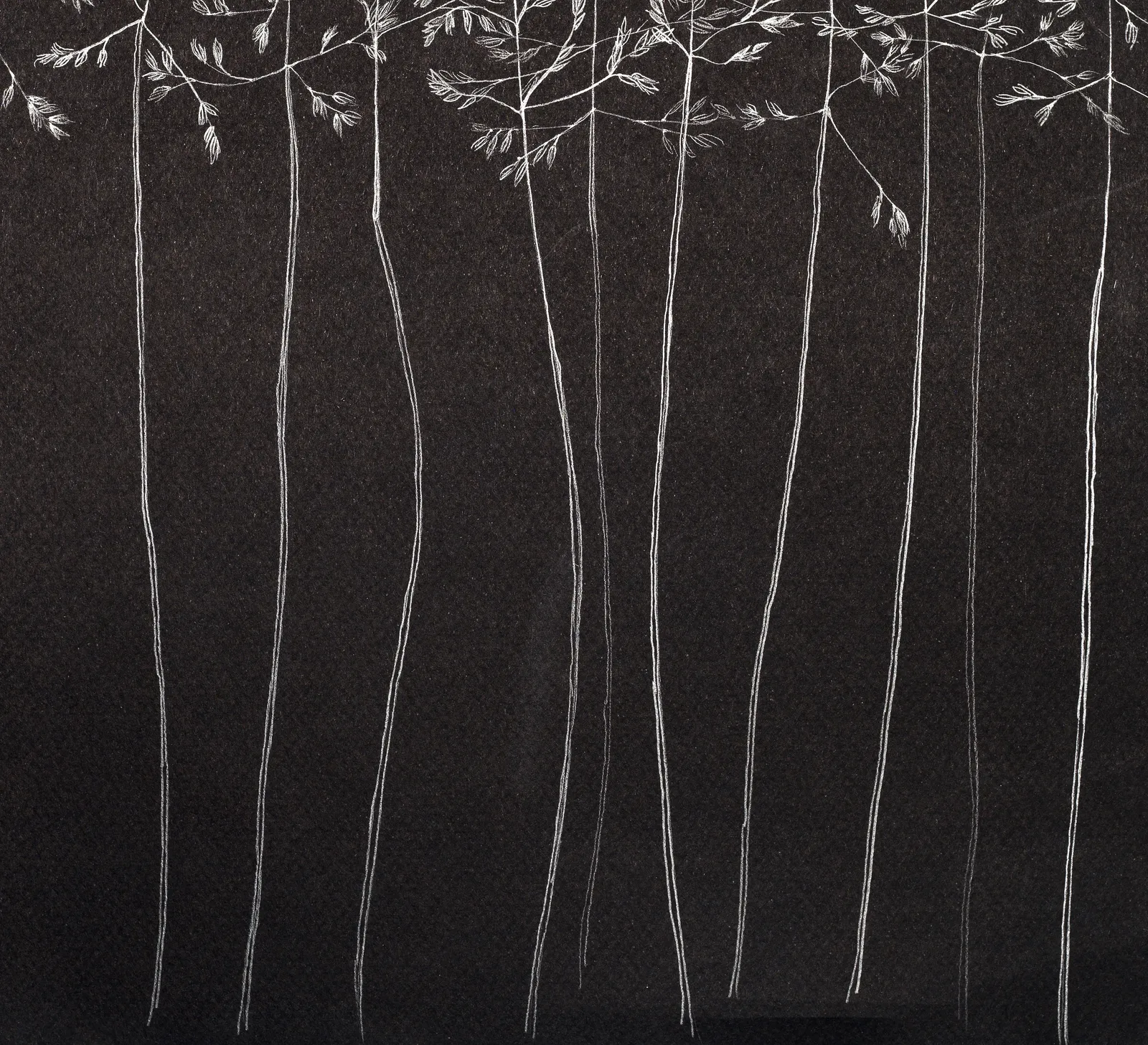 Margot Glass, Grasses 2, 2019