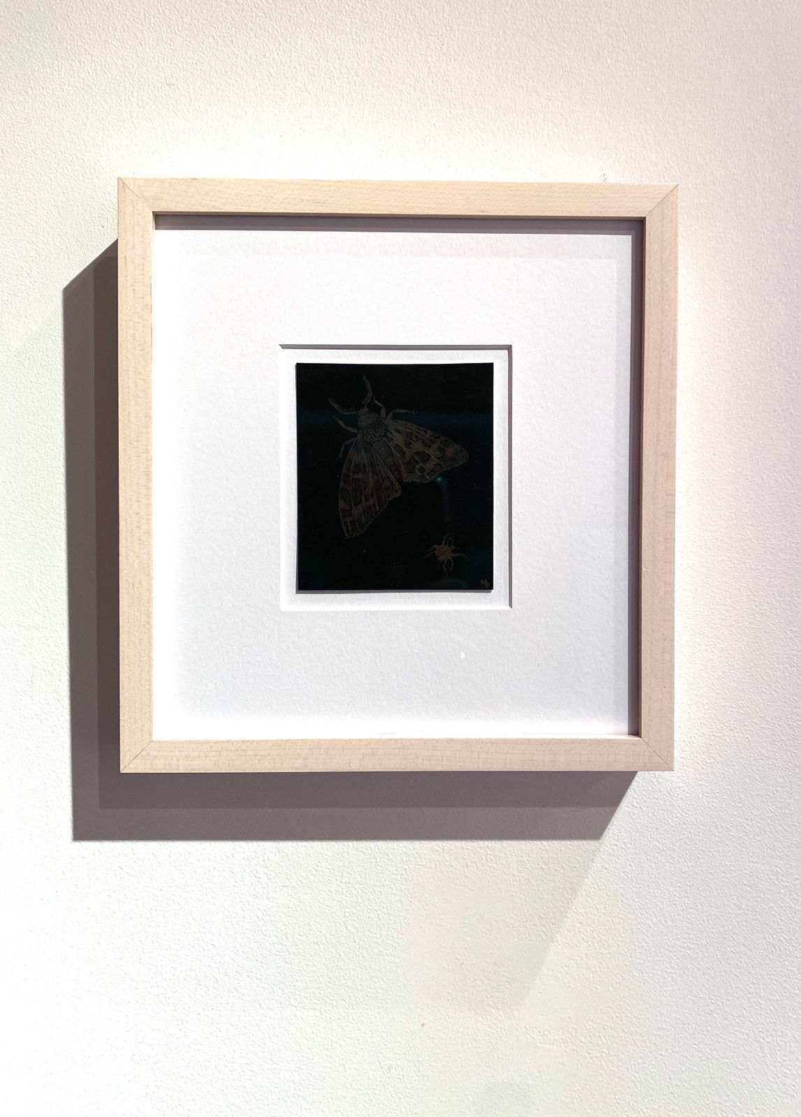 Margot Glass, Moth and Beetle, 2020