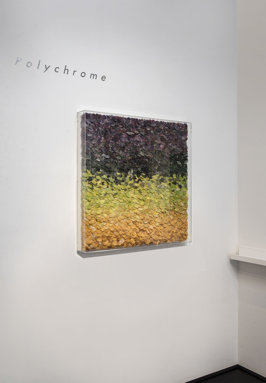 Jill Parisi, Vibrant Array, 2019