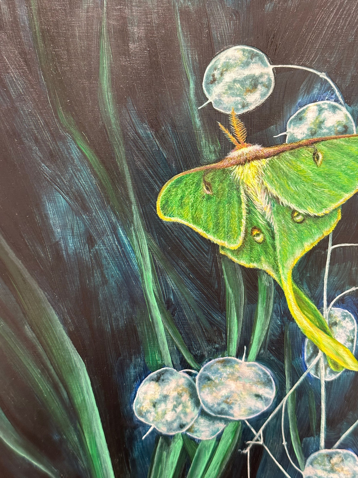 Francine Fox, A Week's Worth, 2023