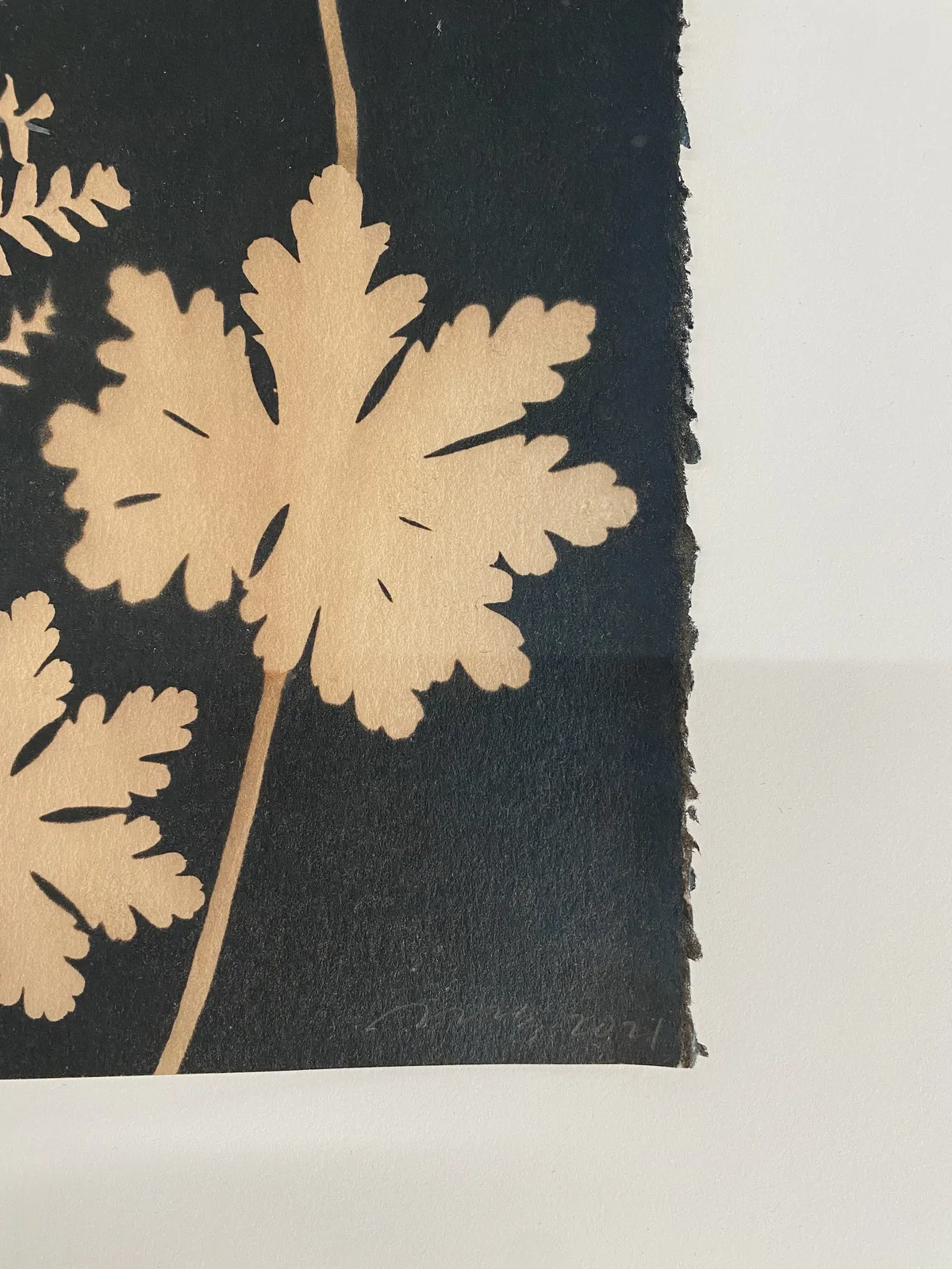 Julia Whitney Barnes, Cyanotype Painting (Tea Toned Gingko, Ferns, Petals, etc.), 2021