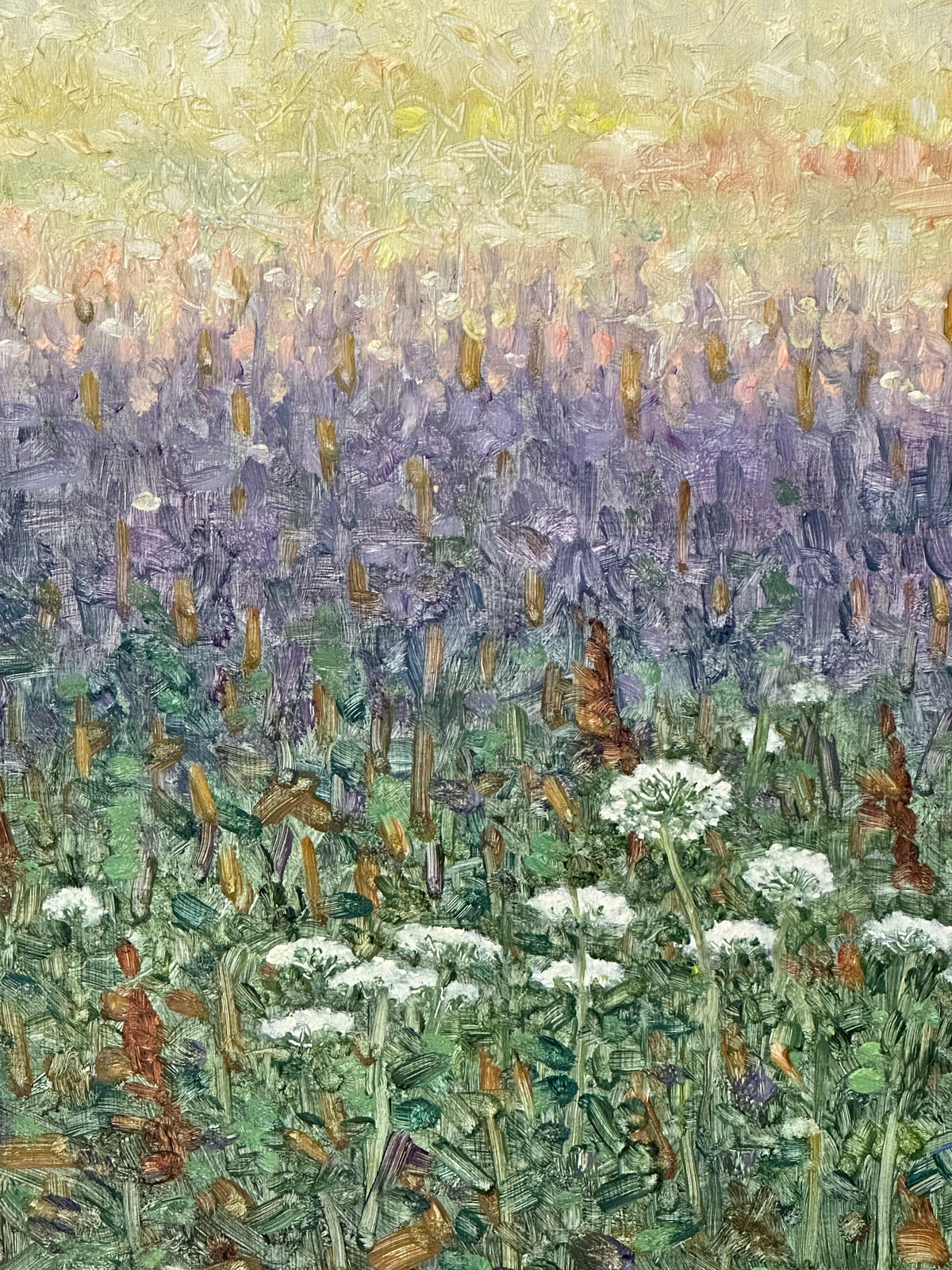 Thomas Sarrantonio, Field Painting August 2, 2022