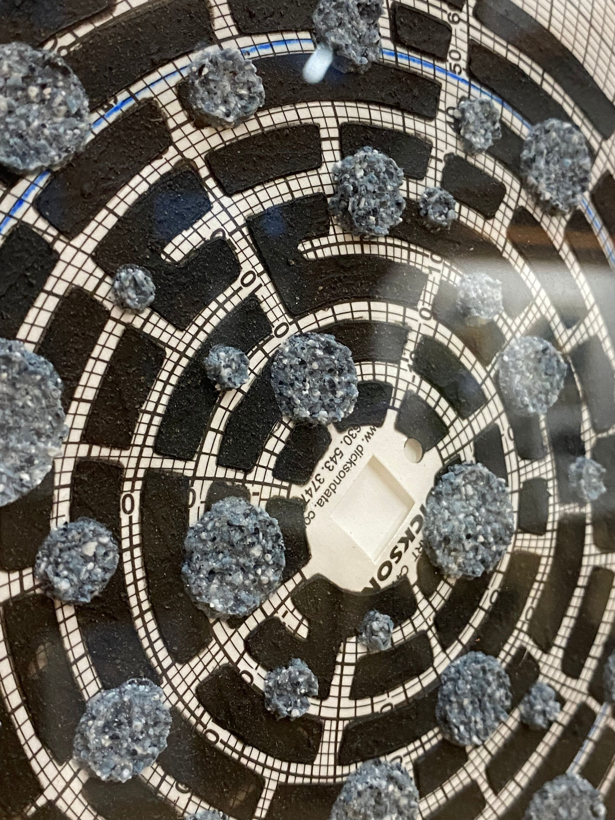 Eleanor White, Graph Mandala 008, 2018