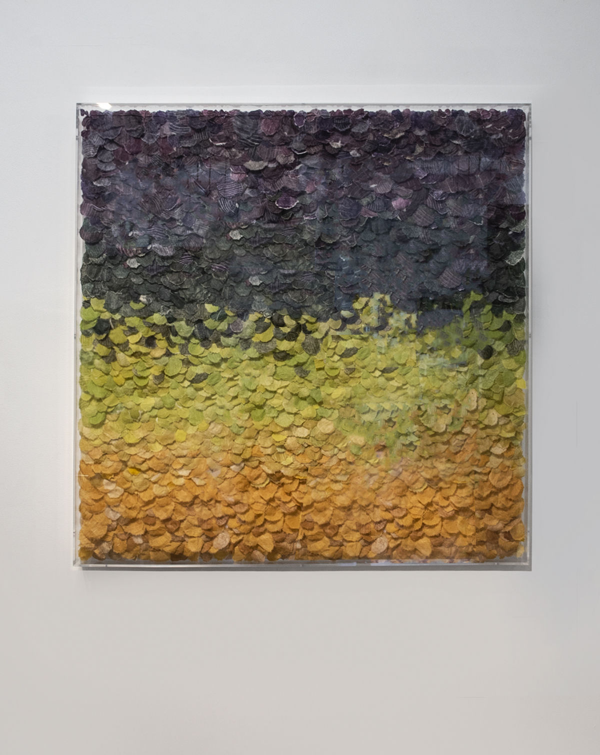 Jill Parisi, Vibrant Array, 2019