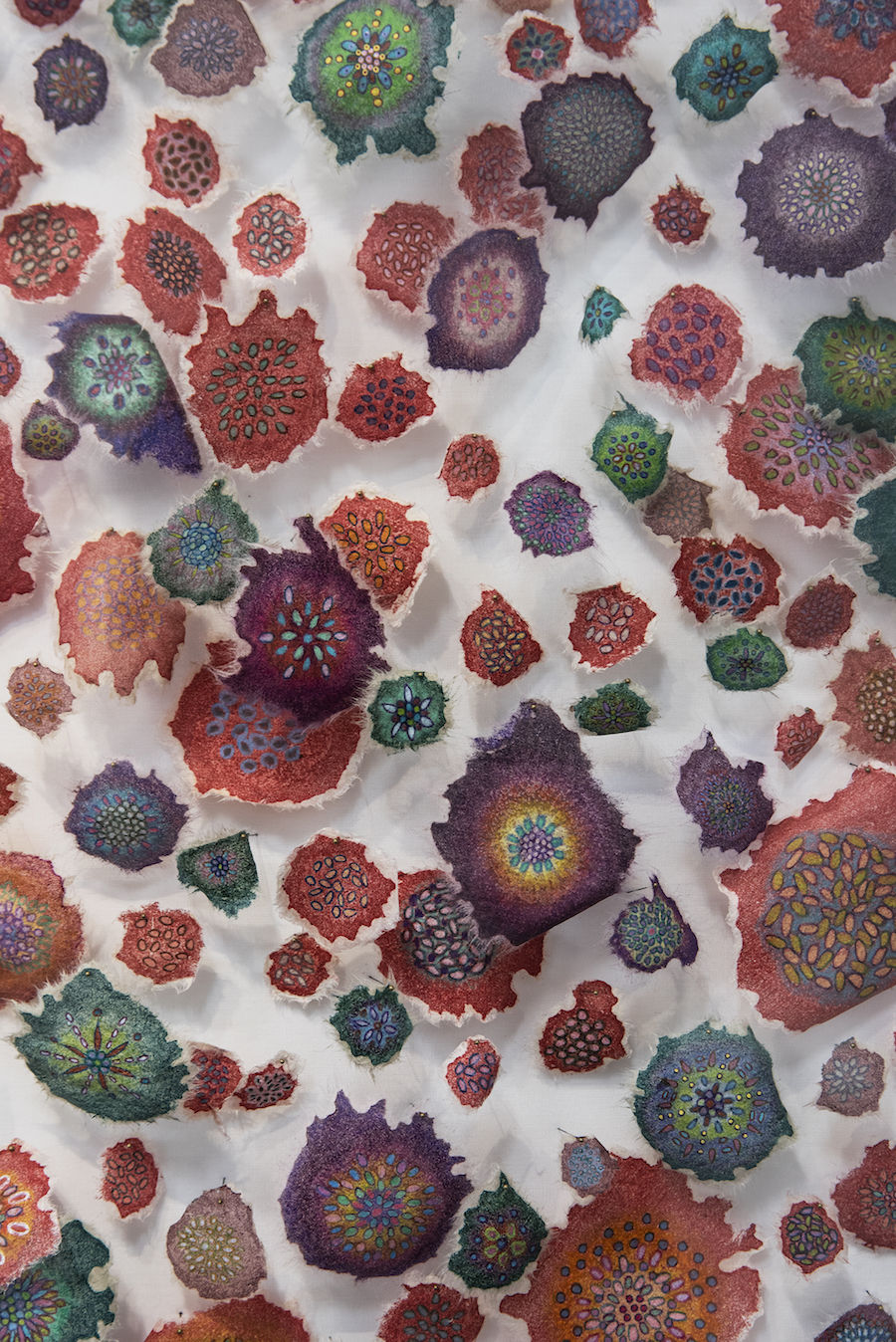 Jill Parisi, Polychrome Synusia, 2019