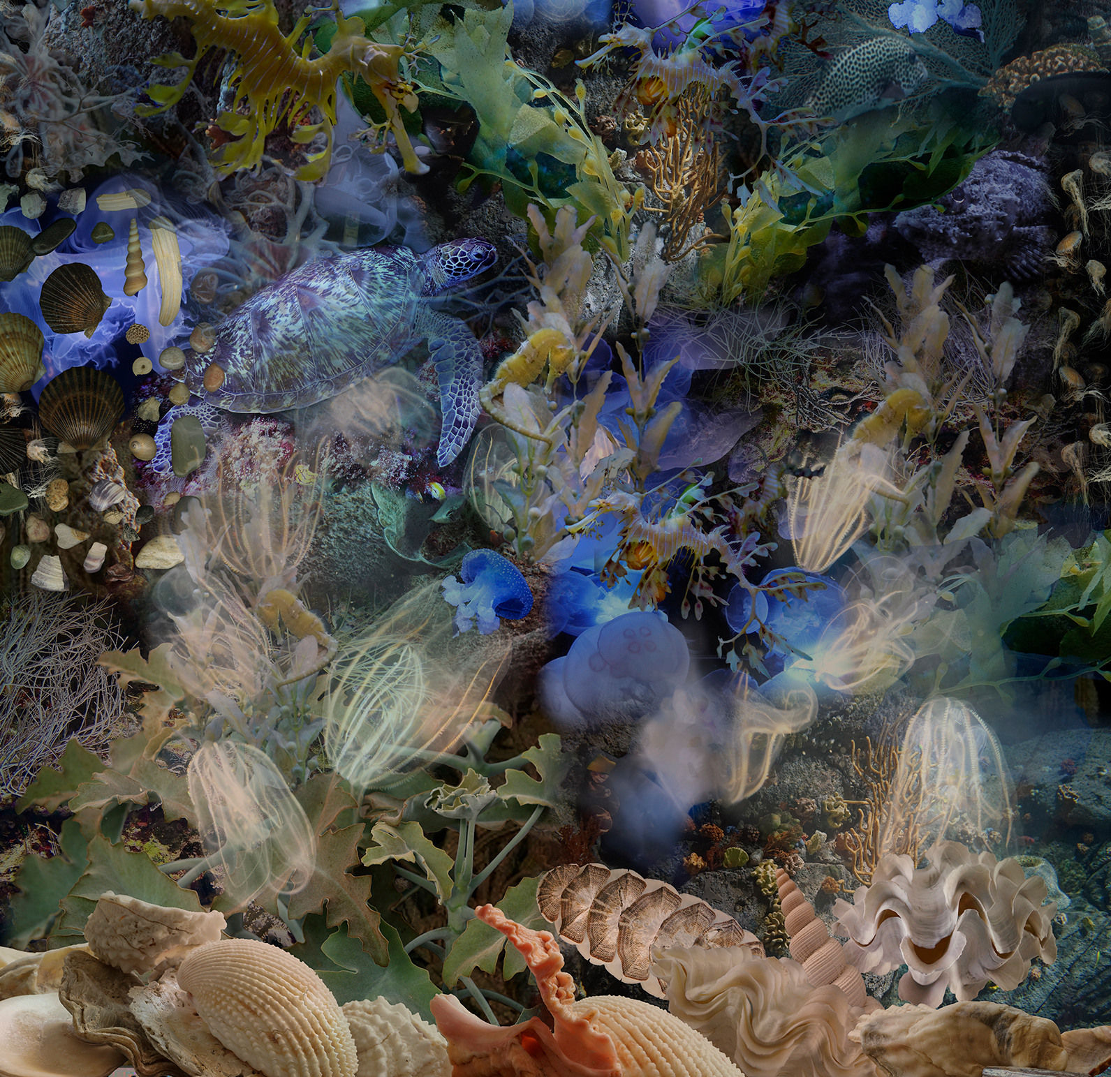 Lisa A. Frank, To Cast Aside the Weight of Facts, 2018