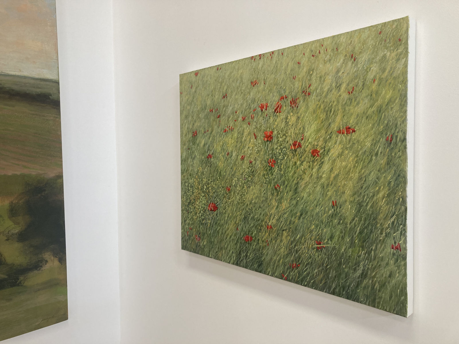 Thomas Sarrantonio, Poppies, 2020