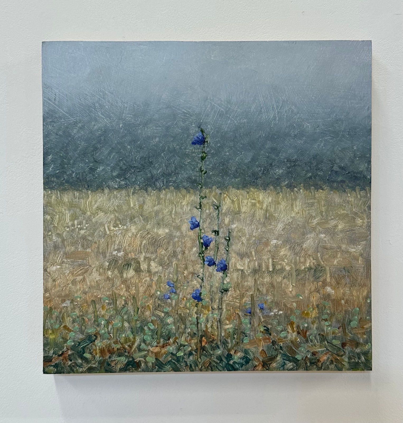 Thomas Sarrantonio, Field Painting September 12, 2023