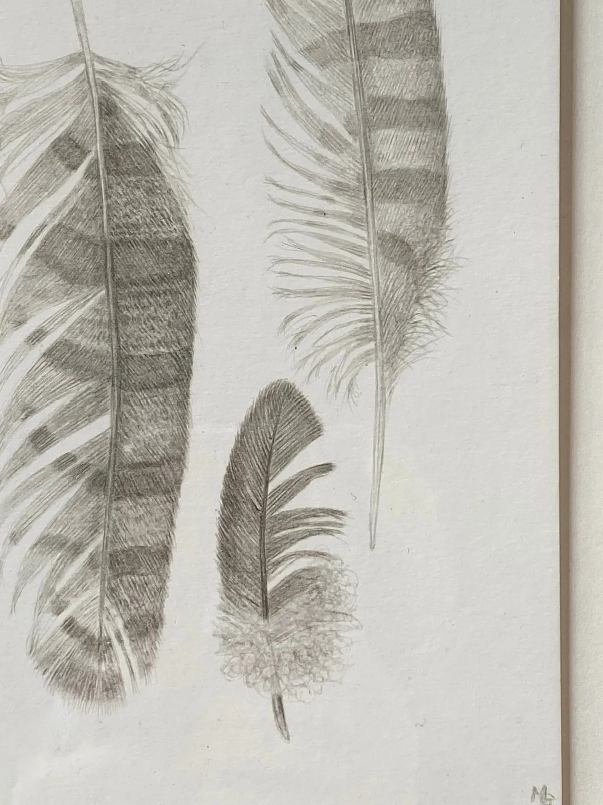 Margot Glass, Feather Group 2, 2021