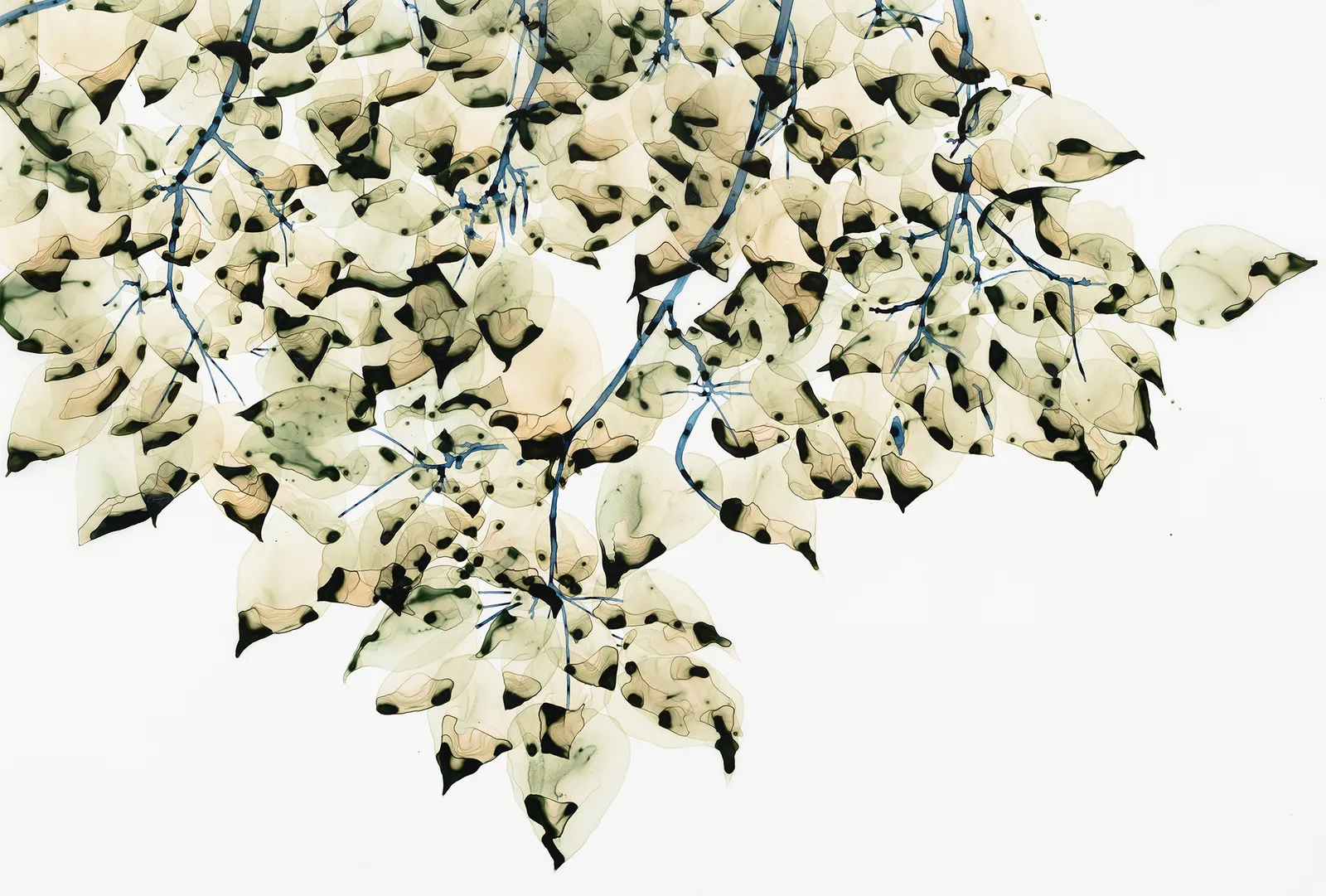 Jackie Battenfield, Virescent, 2019