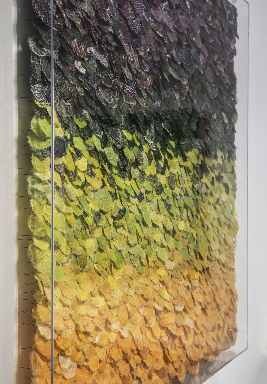 Jill Parisi, Vibrant Array, 2019