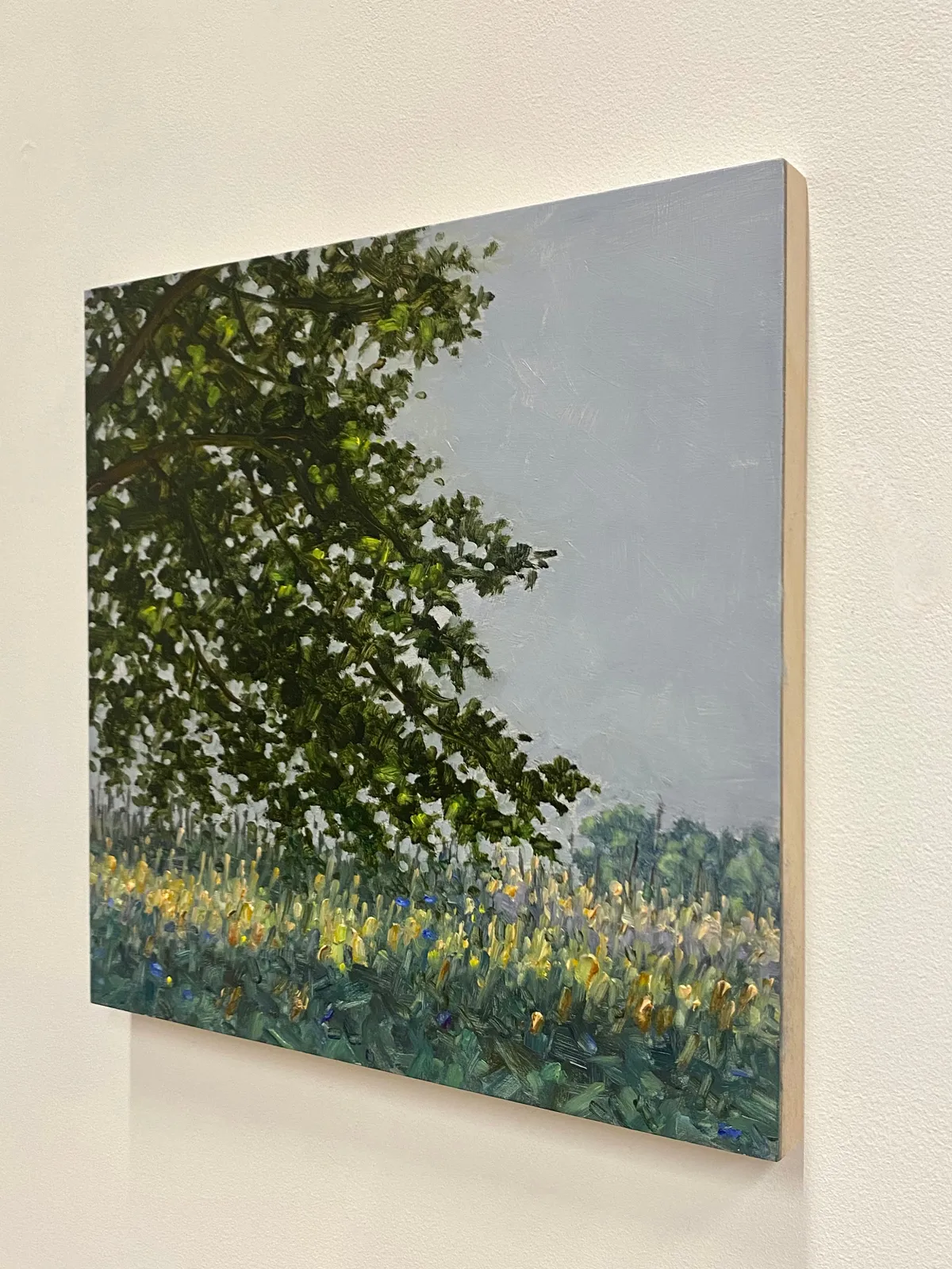 Thomas Sarrantonio, Field Painting July 9, 2022