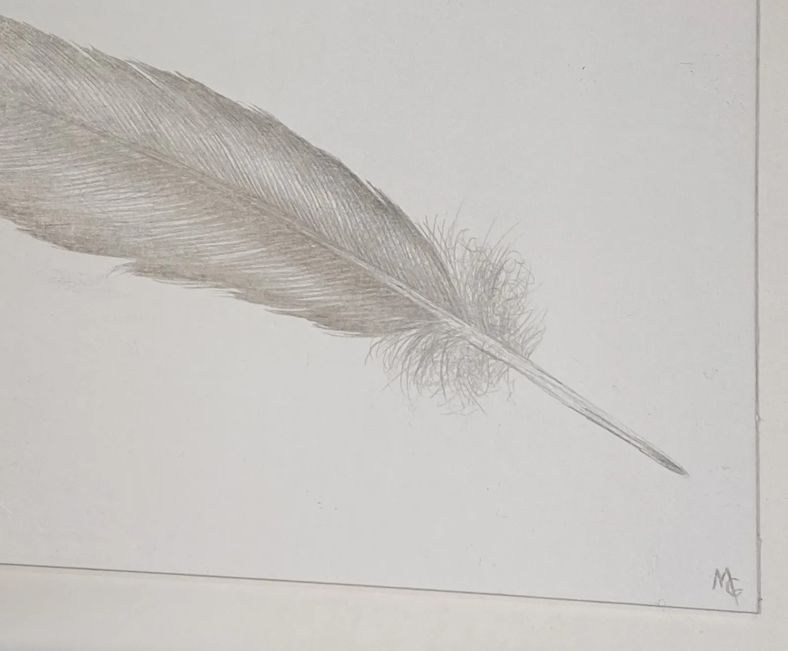 Margot Glass, Small Grey Feather, 2021