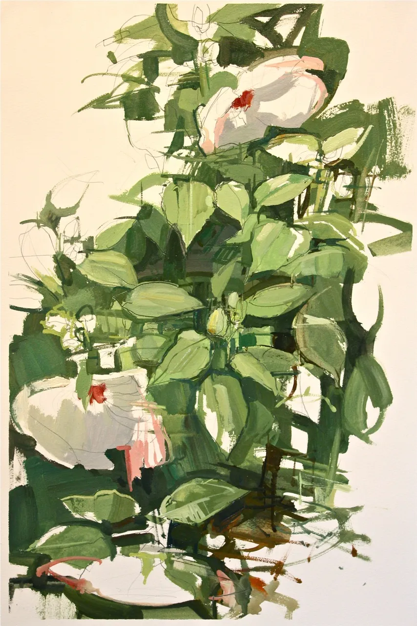 Francis Sills, Hibiscus Blooming 2, 2014