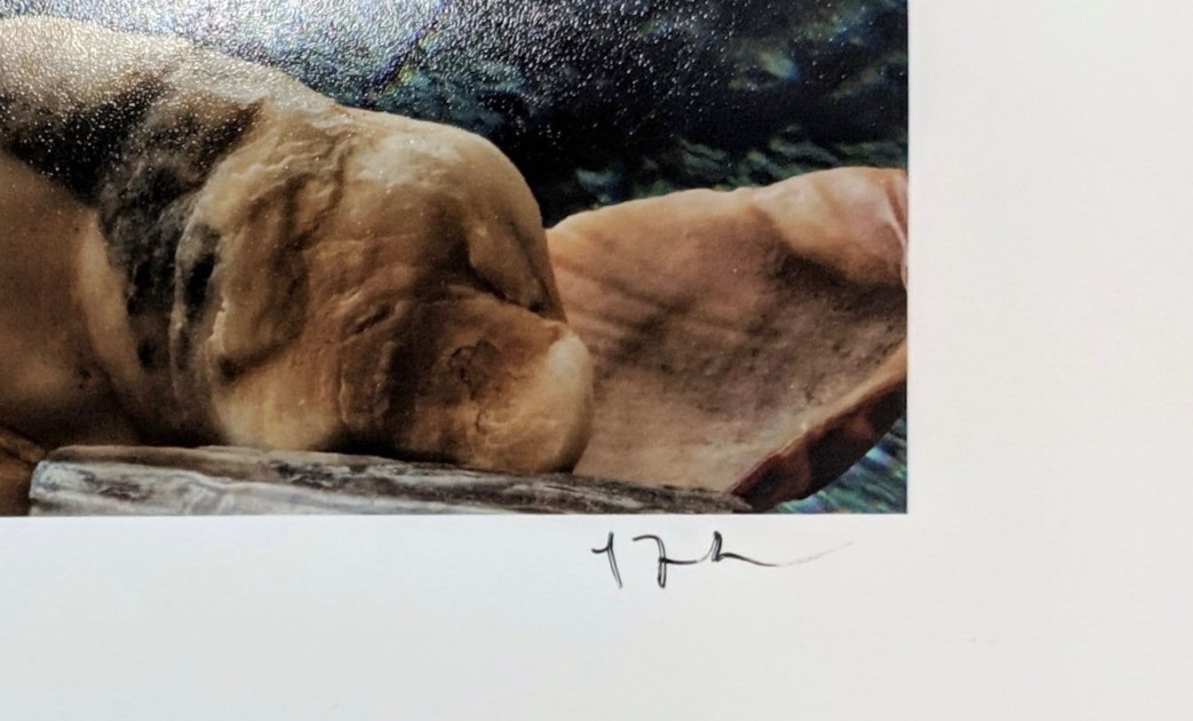 Lisa A. Frank, To Cast Aside the Weight of Facts, 2018