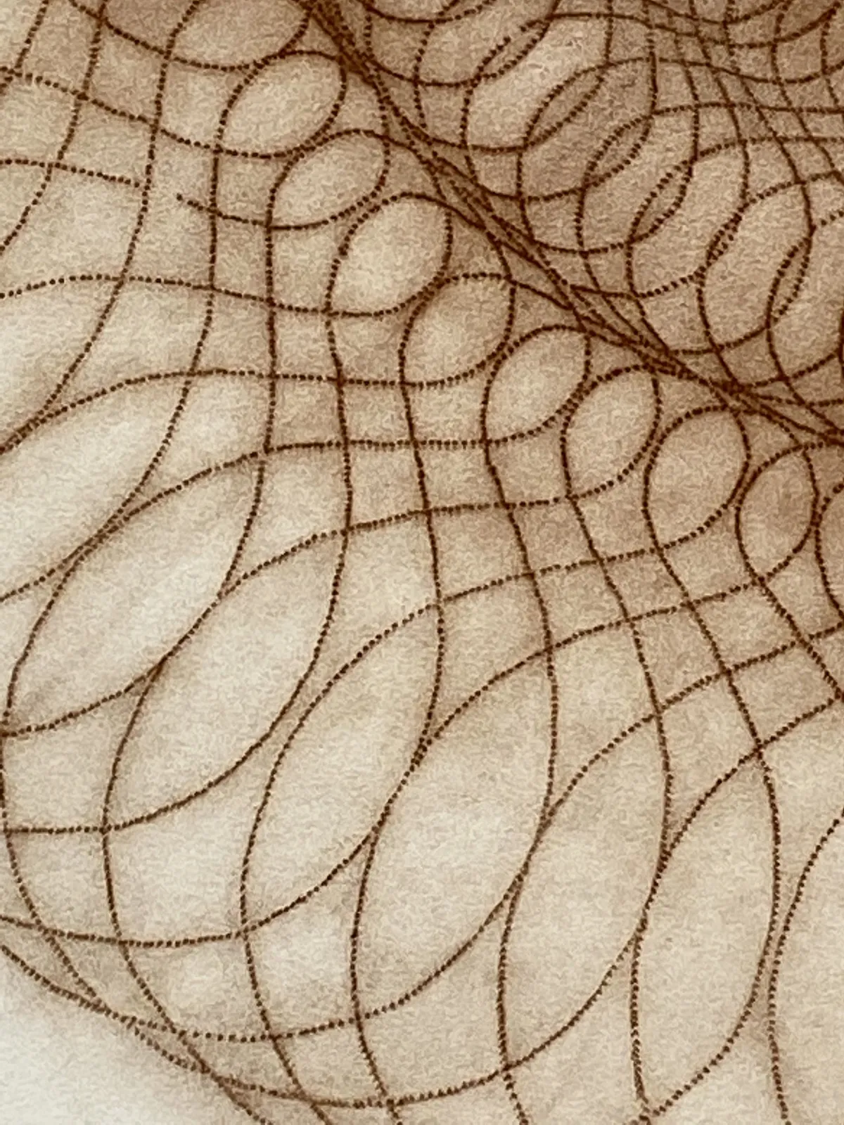 Mary Judge, A102, 2005