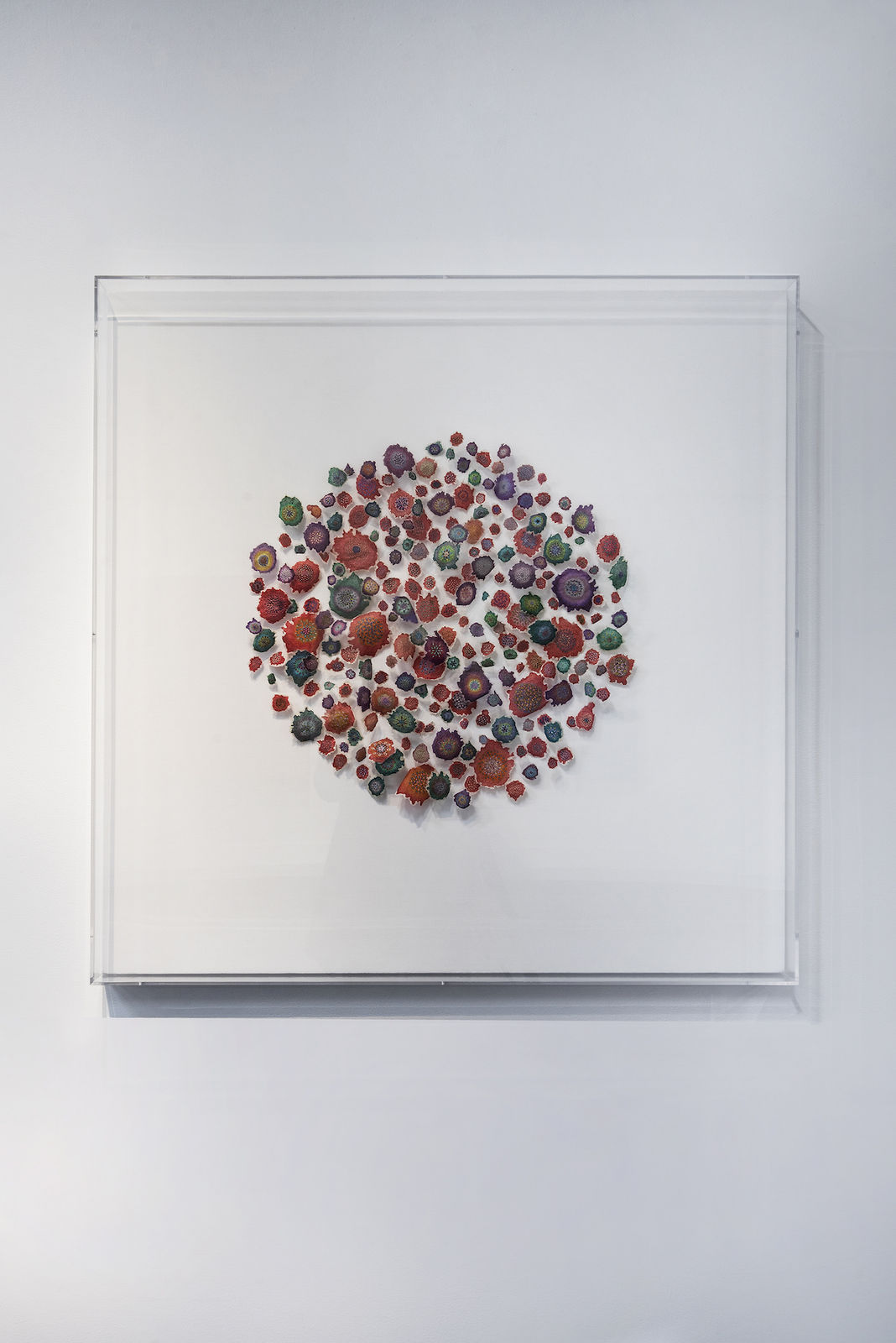 Jill Parisi, Polychrome Synusia, 2019