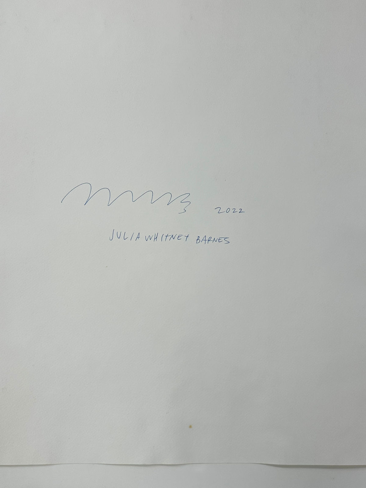 Julia Whitney Barnes, Luminous Nature (Geraniums Hummingbird Ferns, etc.), 2021-'22