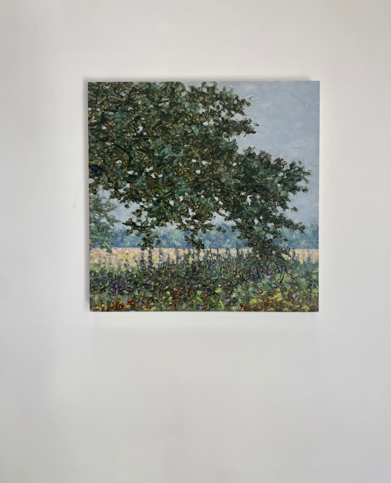 Thomas Sarrantonio, Field Painting September 12, 2022