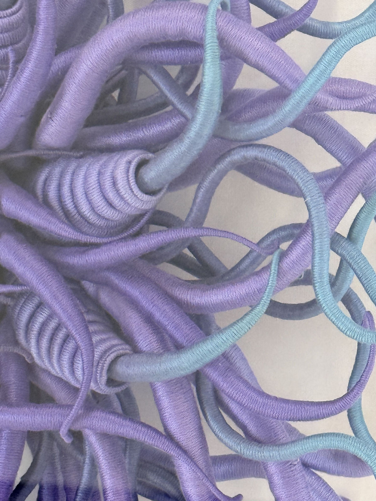 Catherine Latson, Specimen 44, 2025