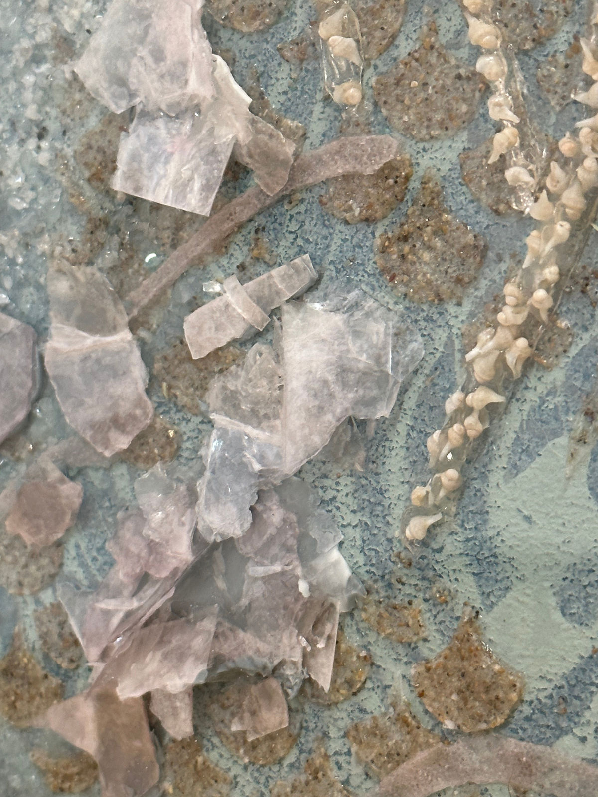 Eleanor White, Shallows, 2023