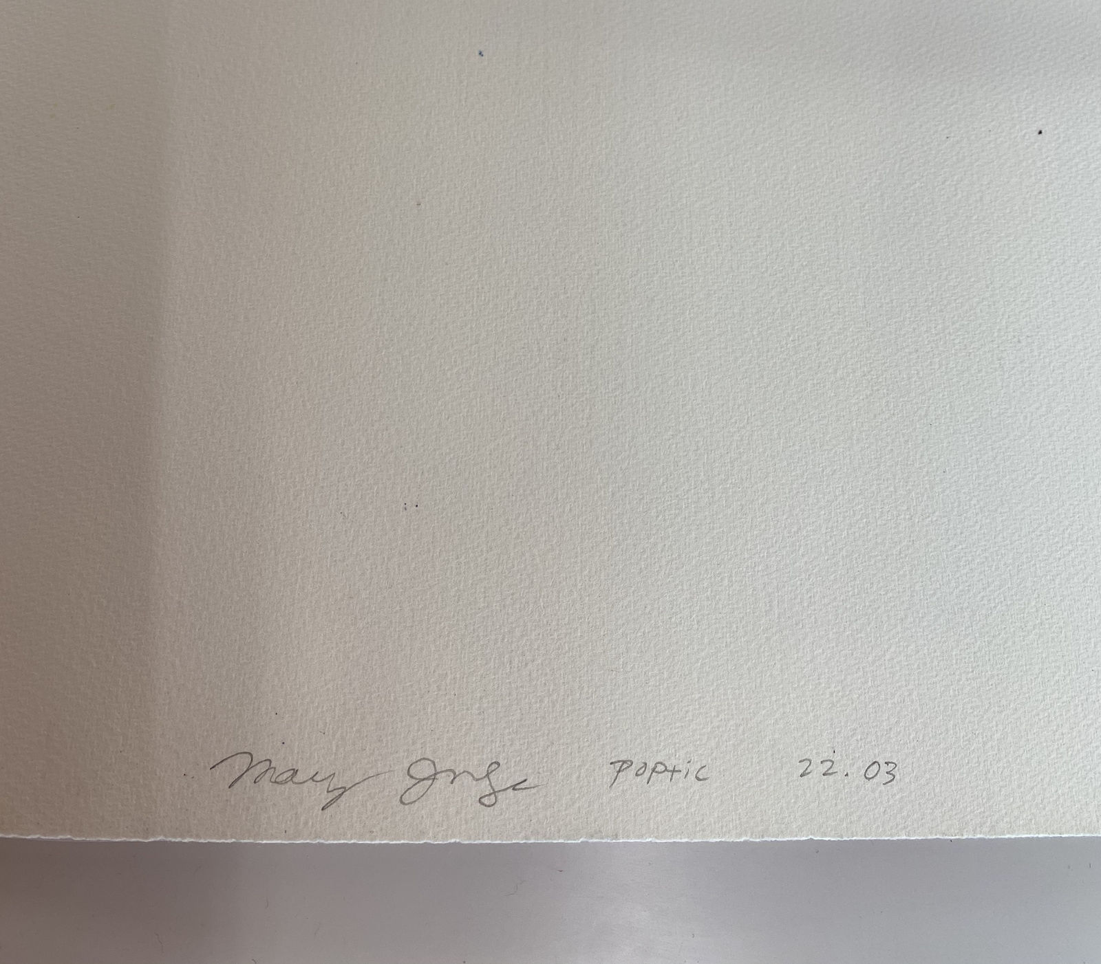 Mary Judge, Poptic 22.03, 2020