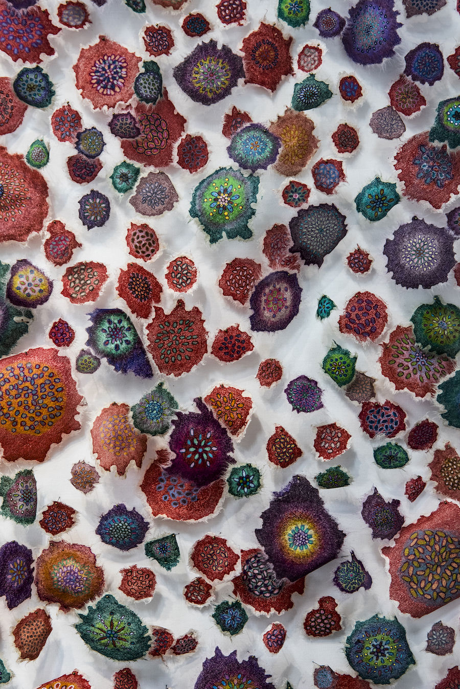 Jill Parisi, Polychrome Synusia, 2019