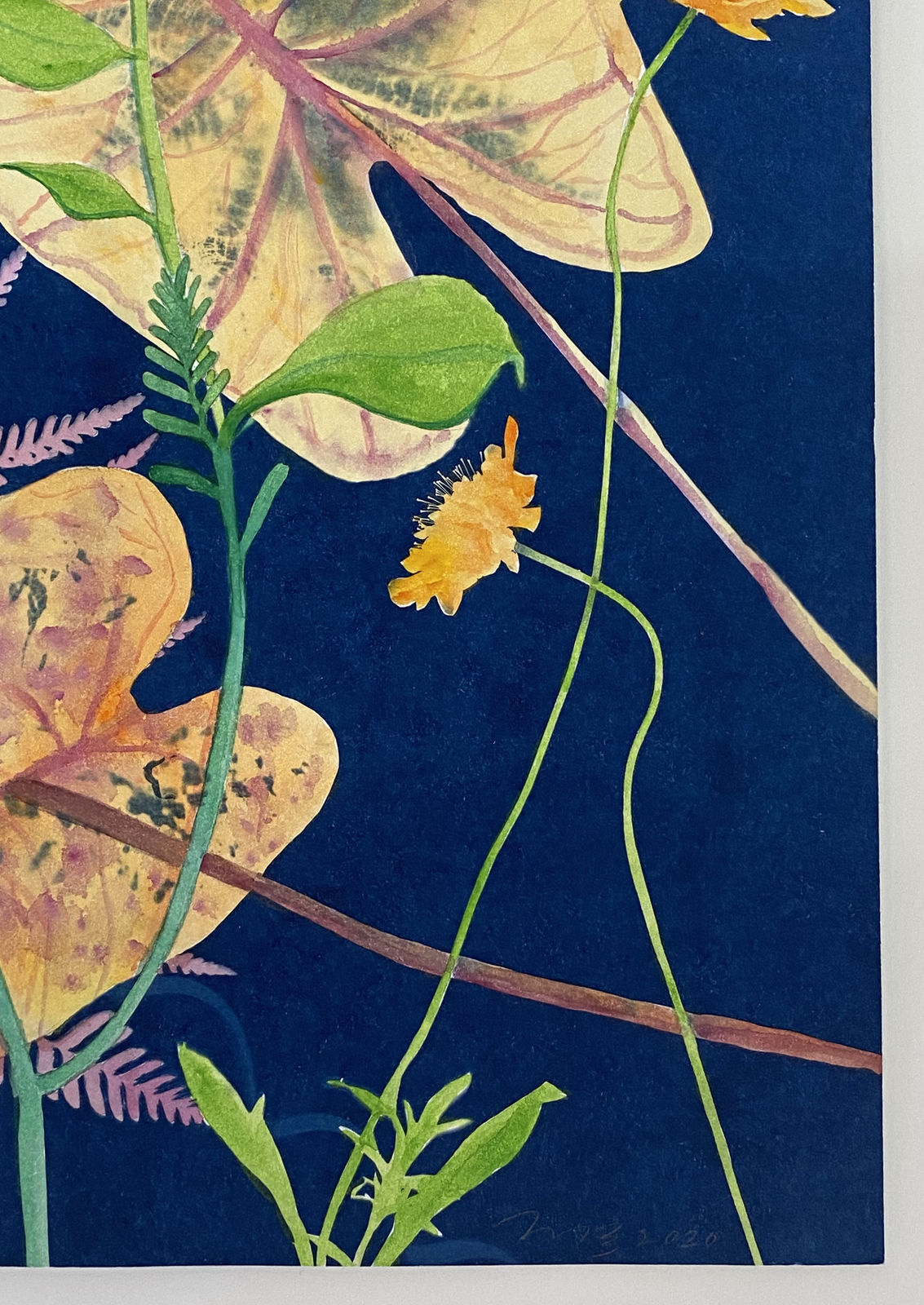 Julia Whitney Barnes, Cyanotype Painting (Leaves Pink Fern), 2020