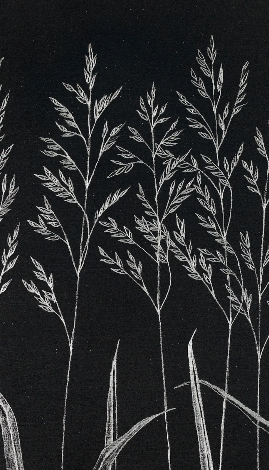 Margot Glass, Grasses, 2019