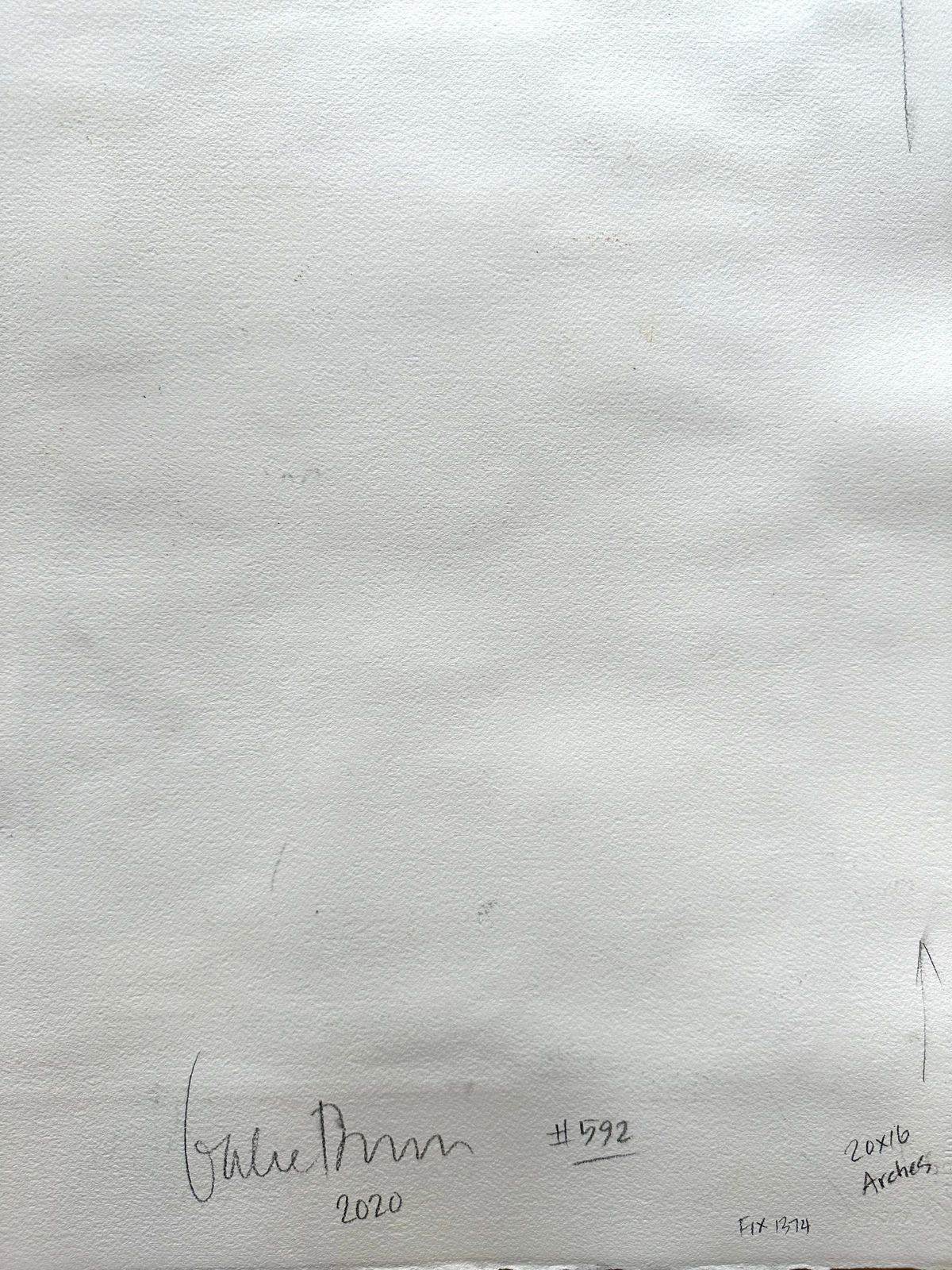 Gabe Brown, Untitled #592, 2020