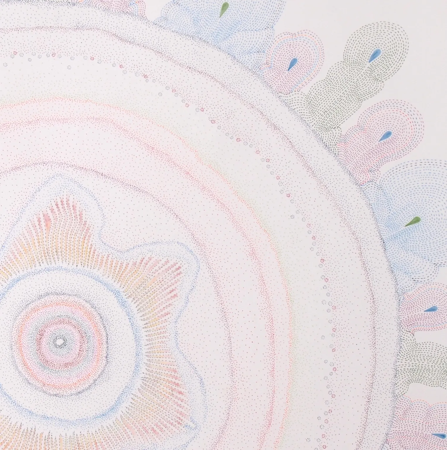 Sarah Morejohn, Yellow Pond Weed, 2016