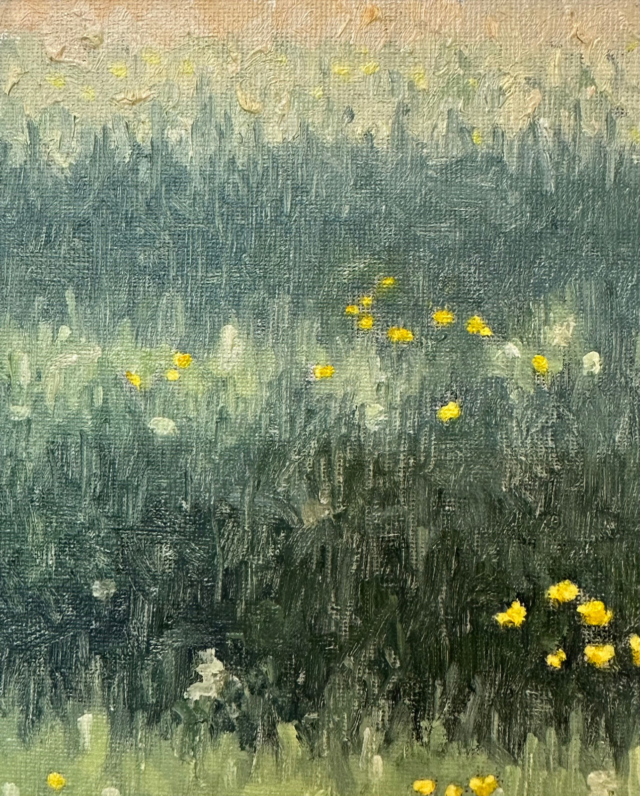 Thomas Sarrantonio, Field Painting May 30, 2023