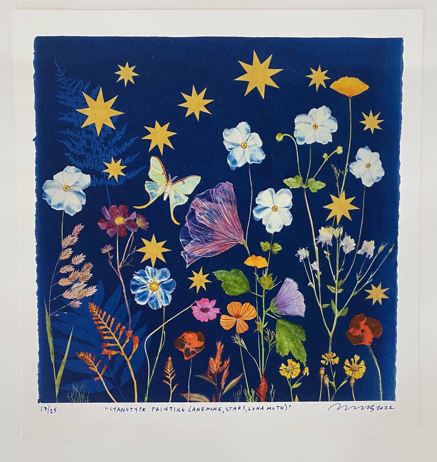 Julia Whitney Barnes, Cyanotype Print (Anemone, Stars, Luna Moth), 2022