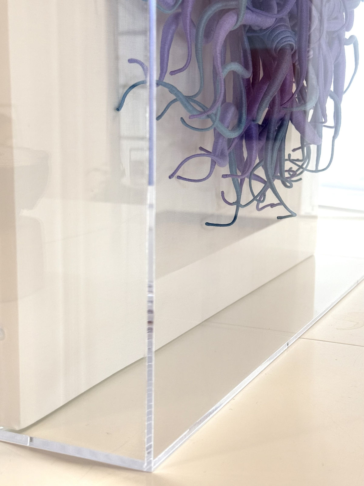 Catherine Latson, Specimen 44, 2025