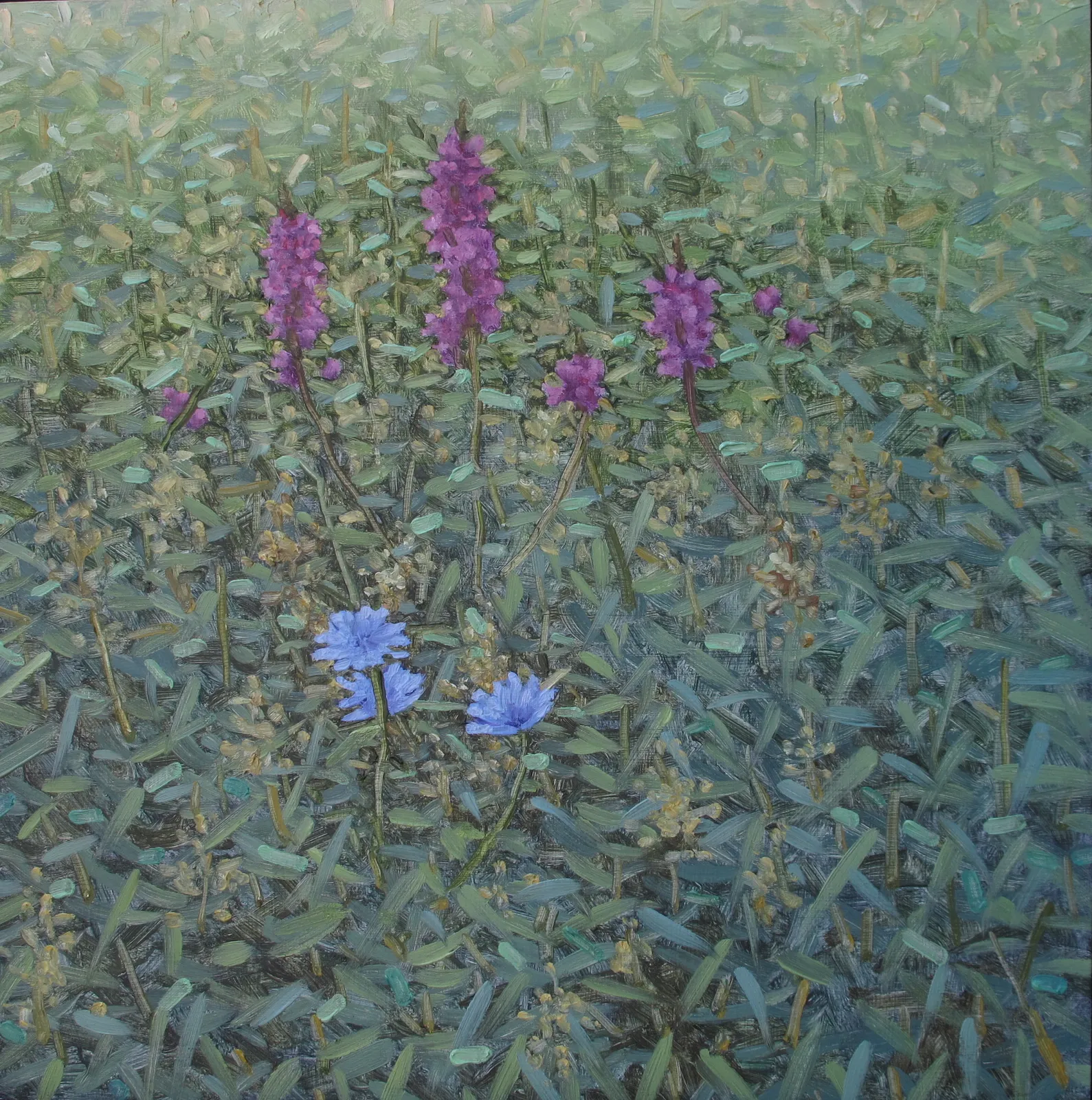 Thomas Sarrantonio, Performance, 2015